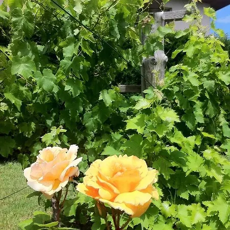 Les Jardins Du Forez מלון