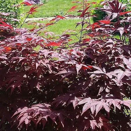 Les Jardins Du Forez Hotel 3*