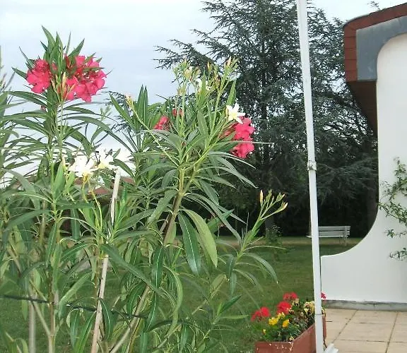 Hotel Les Jardins Du Forez