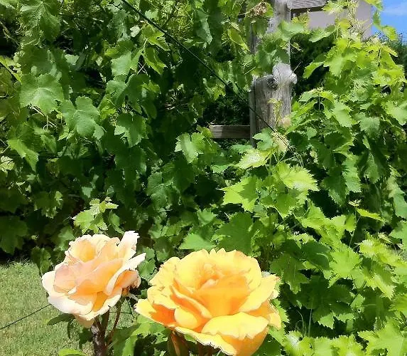 Les Jardins Du Forez Hotel